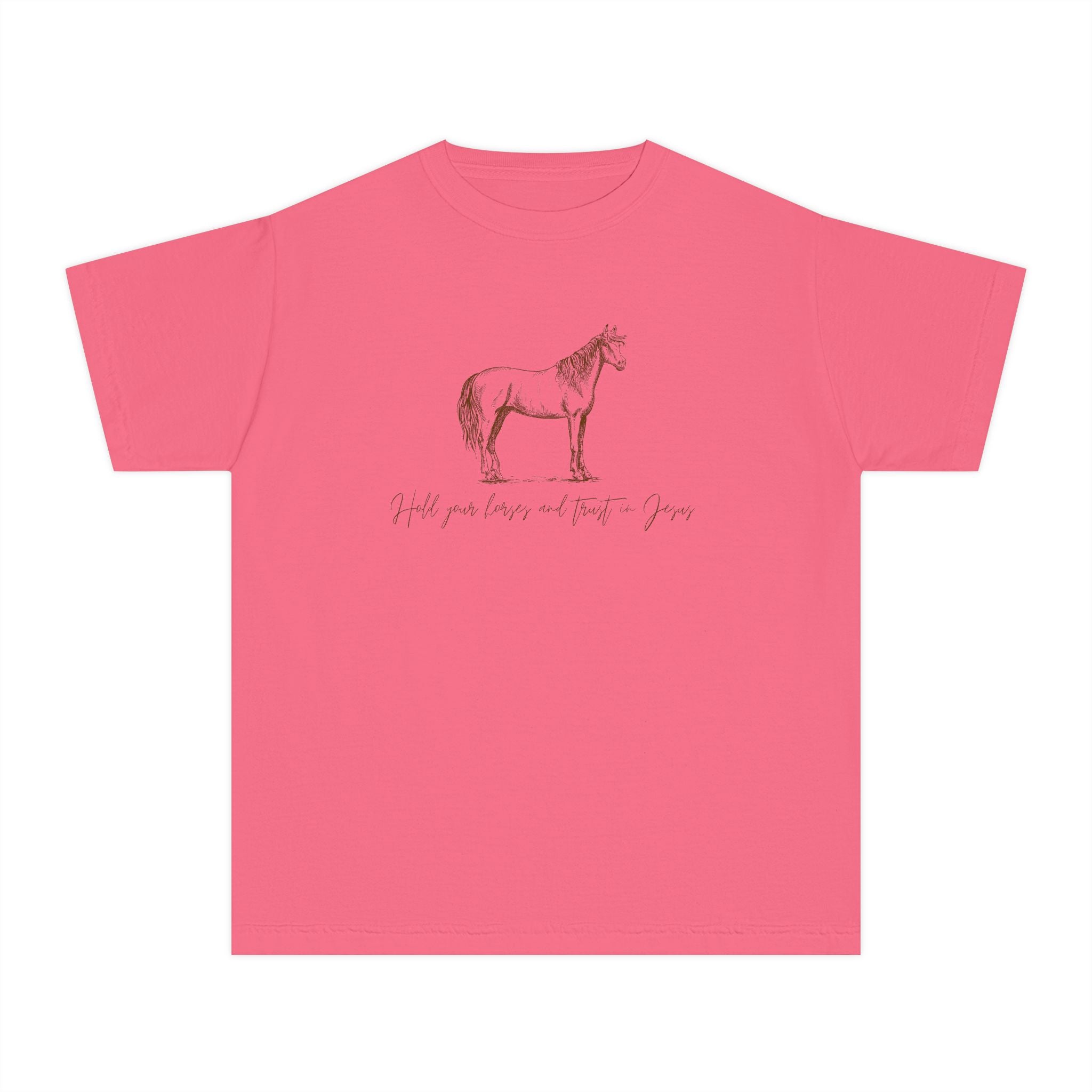 Youth Horse Sketch Tee – "Hold your horses and the pasture" Graphic T-Shirt