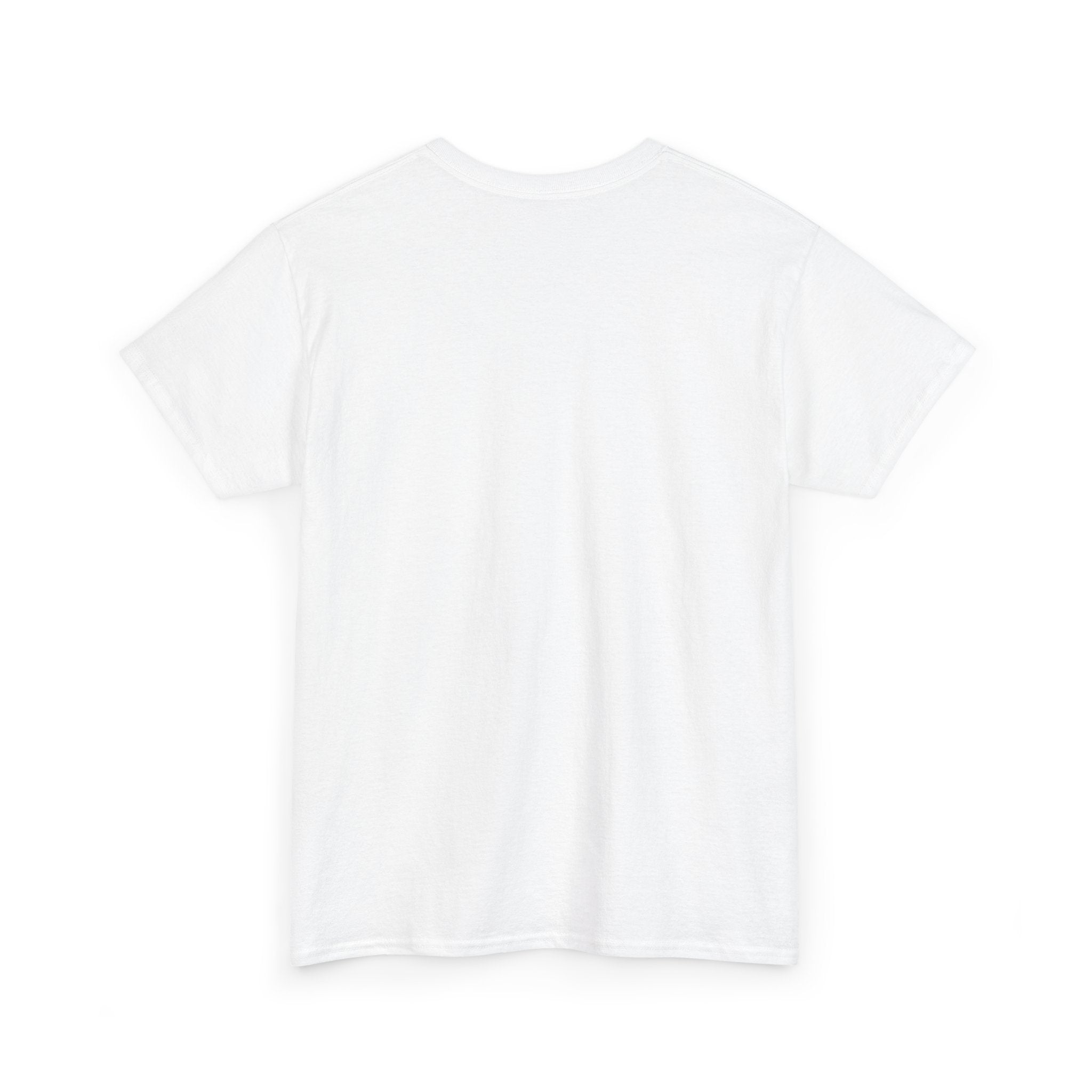 I XhaveX a plan... God's Got This D20 T‑Shirt