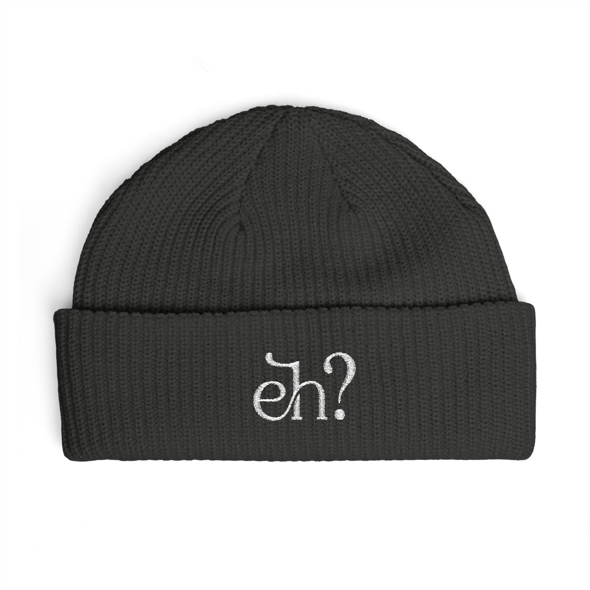 Embroidered Knit Toque