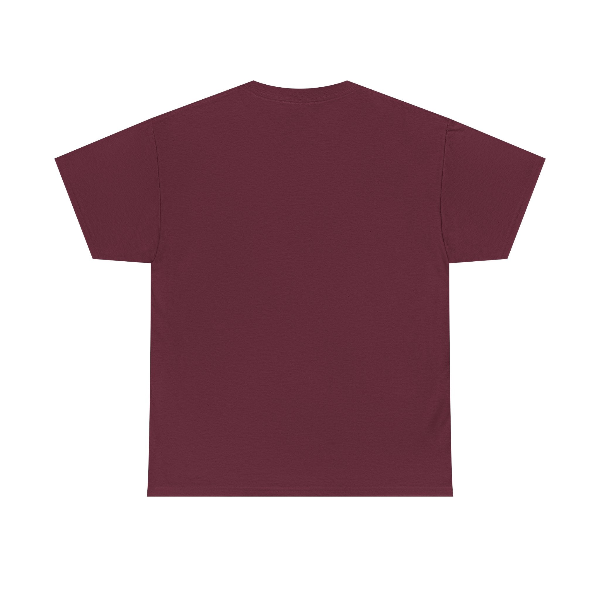 I XhaveX a plan... God's Got This D20 T‑Shirt